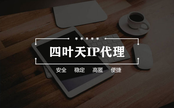 【鹤岗代理IP】如何快速搭建代理IP？怎么检查代理的效果？